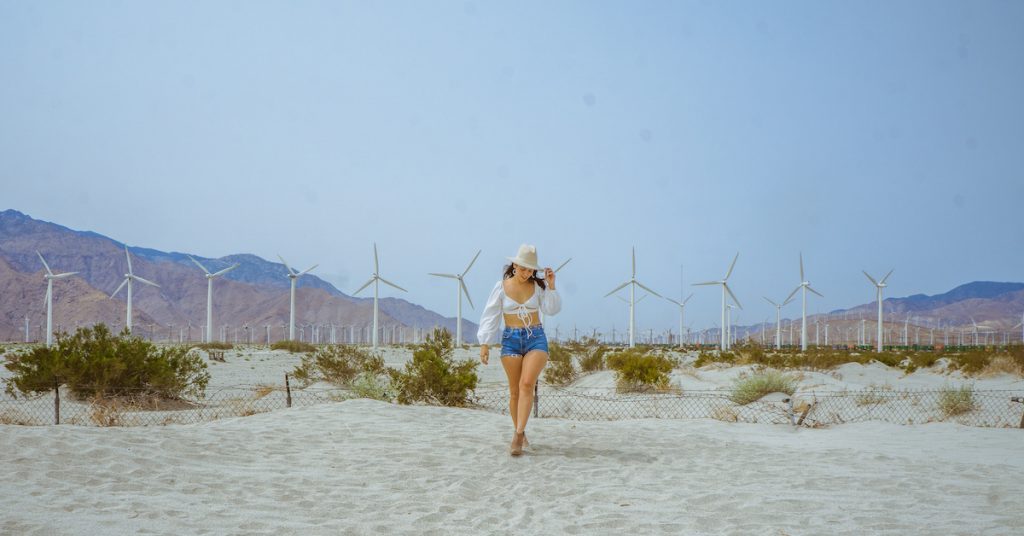 Shooting at the Palm Springs Windmills - Le Wild Explorer
