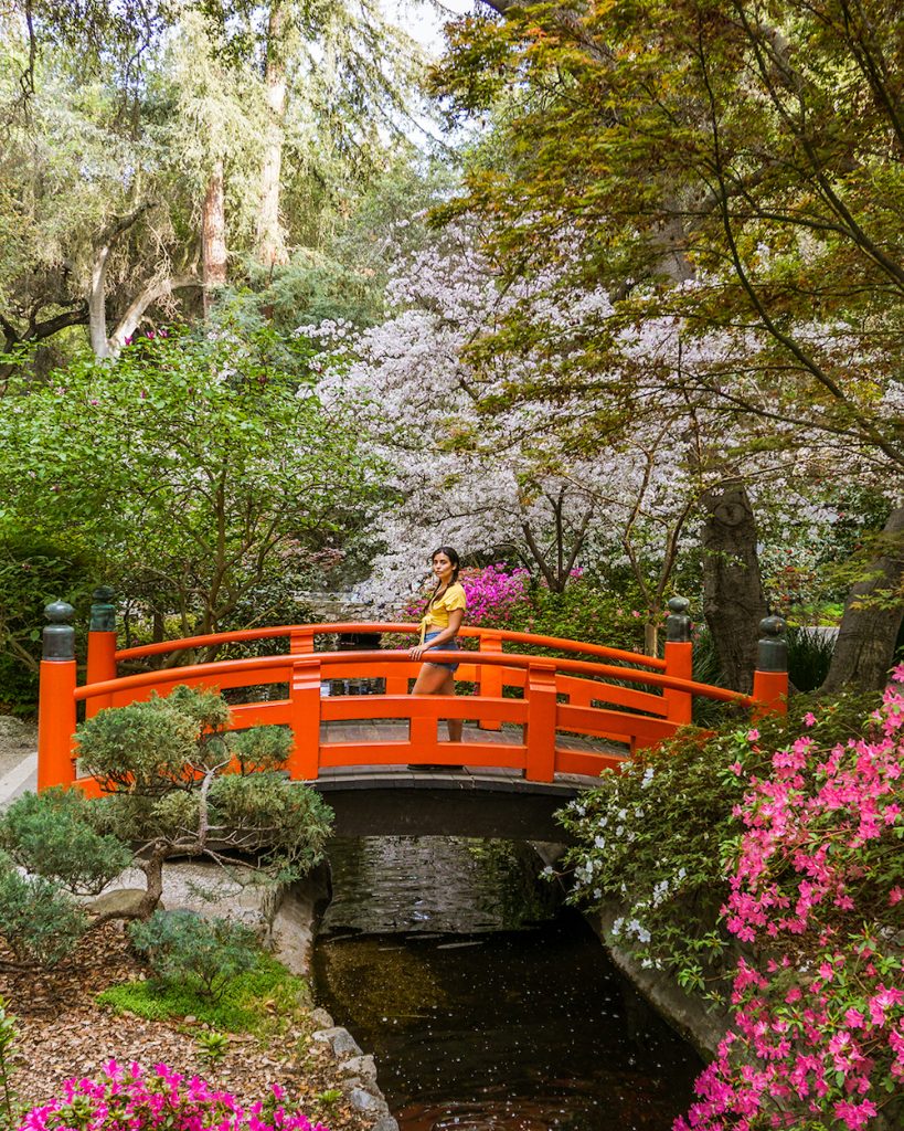 woman at descanso gardens cherry blossoms Le Wild Explorer