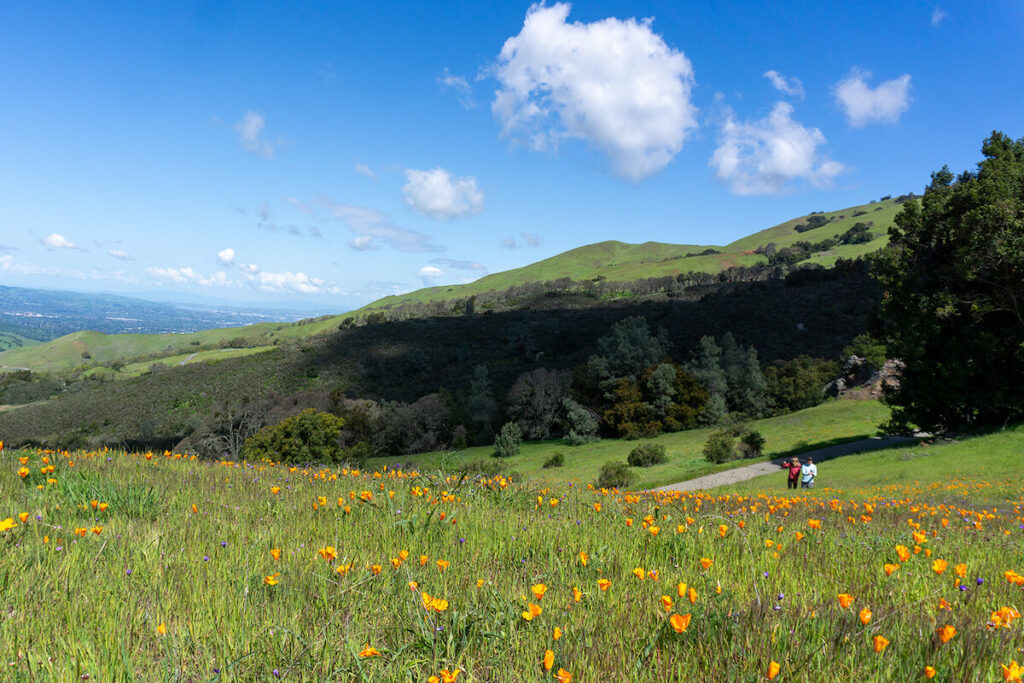 Things to Do in Tri Valley California - Le Wild Explorer